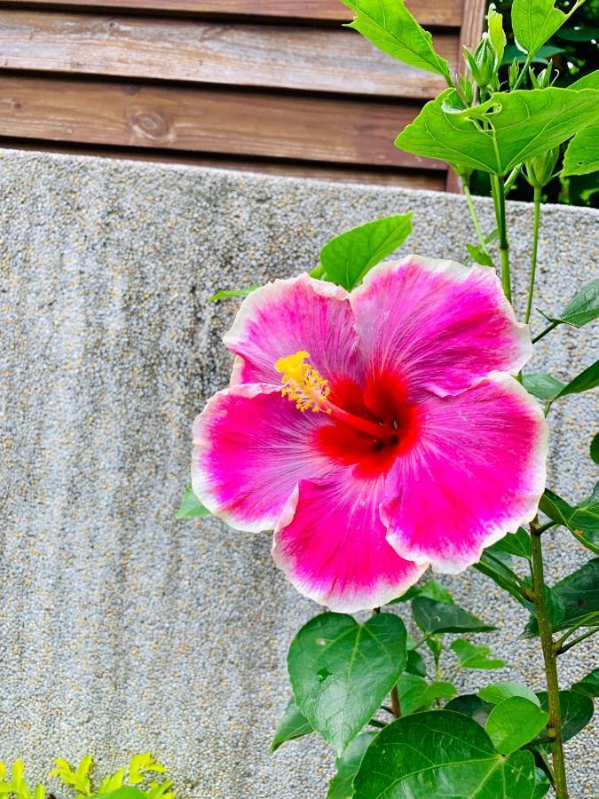 Jifun Flower Meanings Ji'an Eksteriør billede